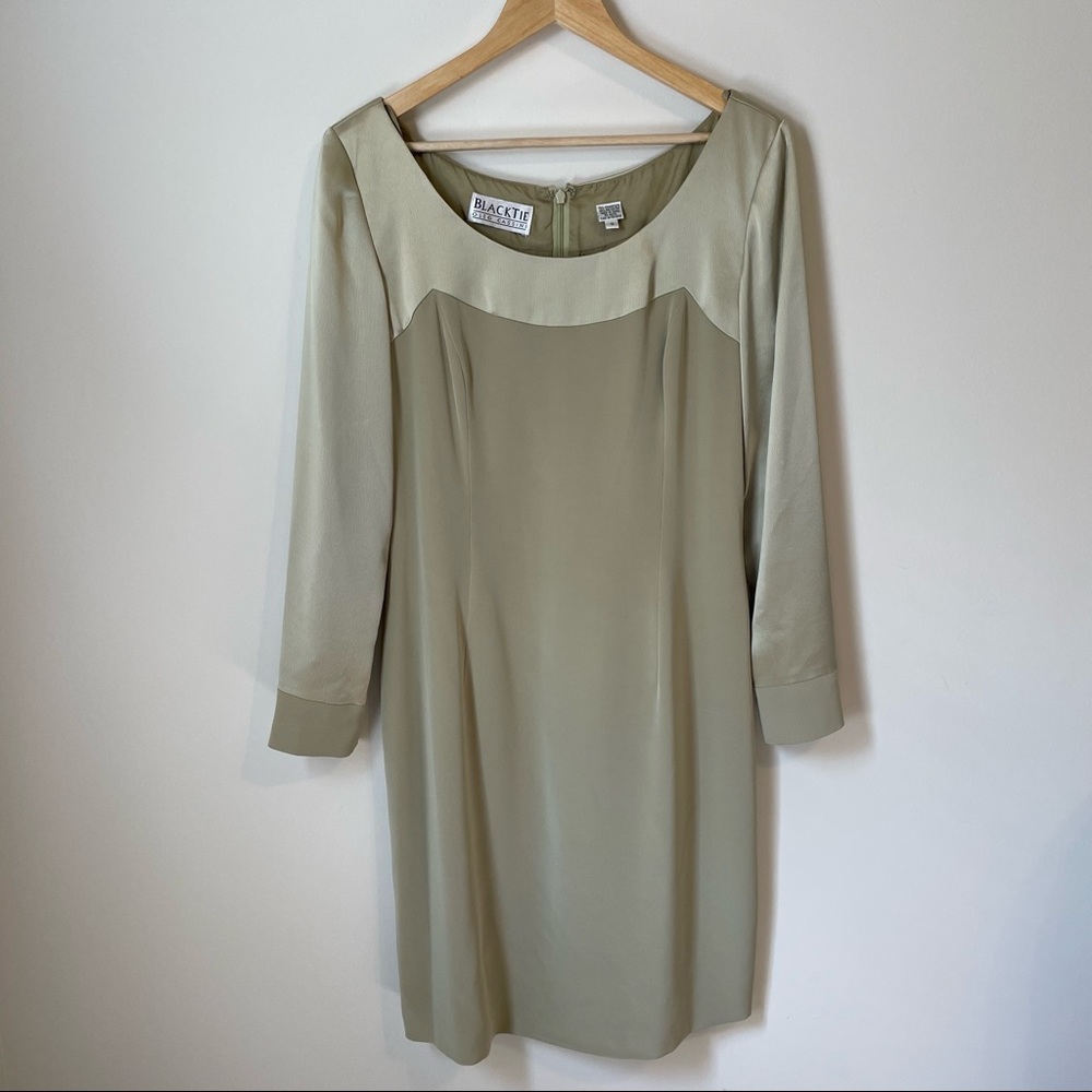 Black Tie Oleg Cassini dress
